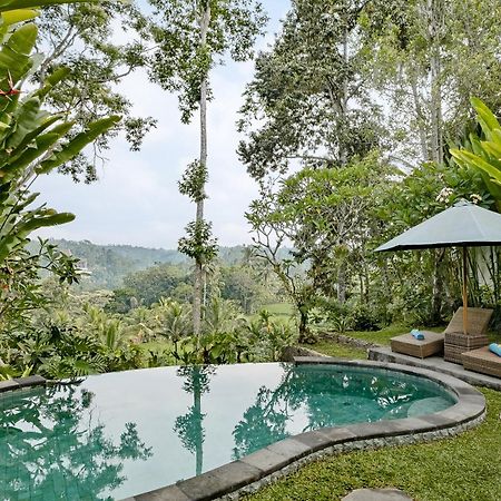 Anandari Ubud Villa Luaran gambar